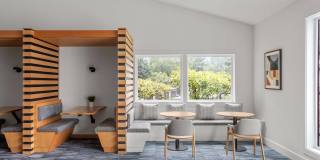 Montair at Somerset Hill Gallery 27