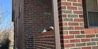 5051 Maffitt Ave Gallery 1