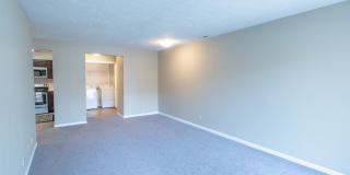 Adriana Court Gallery 24