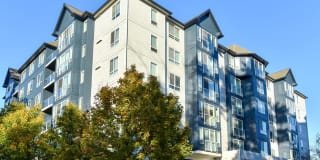 Apex Apartments Gallery 37