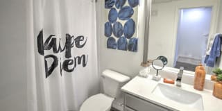 The Landing at Round Rock Gallery 11