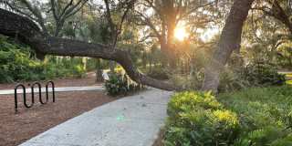 14321 Azalea Pond Ct Gallery 36