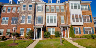 43593 Taylor Tree Terrace Gallery 1