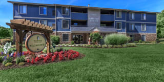 Walden Pond Gallery 2