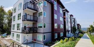 Avaya Ridge Gallery 12
