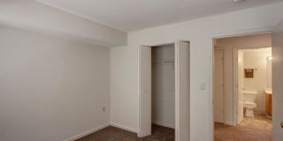 Mallside Forest Gallery 1