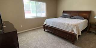 Sunny and spacious 3 bed, 2.5 bath house with living and family room, with huge back yard! Gallery 16