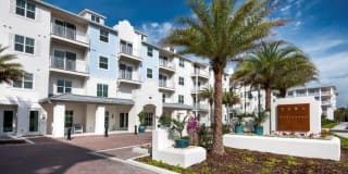 Town Westshore Gallery 37