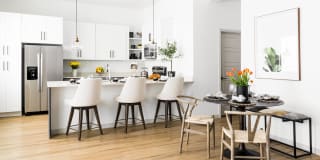 Onyx at Westgate Gallery 3