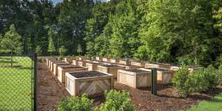 Symphony at Suwanee Creek Gallery 12