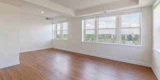 Alban Towers Gallery 24