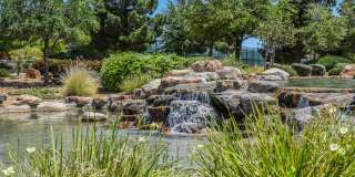 Beautiful Home In Sun City Aliante!! Gallery 46