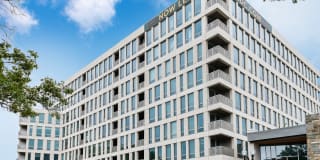 The Banks Gallery 42