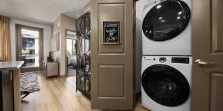 Blume on Central Gallery 40