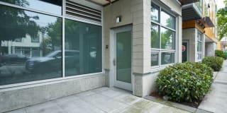 Springline Gallery 17