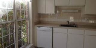 2-Bed Condo in Chapel Hill – Dual Master Suites! Gallery 3