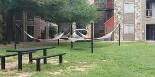 Villa de Oro Villa de Oro Gallery 18