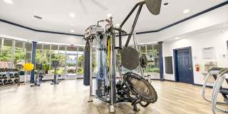 Olympus Carrington Gallery 28