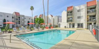 THE MODERN CACTUS Gallery 31