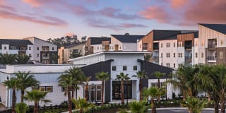 Grand Cypress Gallery 4