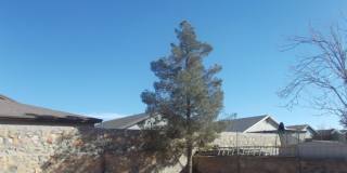 1860 Joan Francis Drive Gallery 26