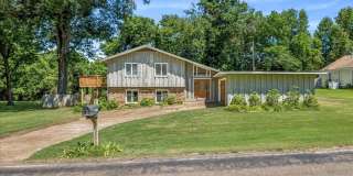 1532 CHRISTINE Cv Gallery 1
