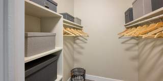 Raven Gallery 5