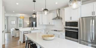 3024- Red Cardinal Lane Gallery 14