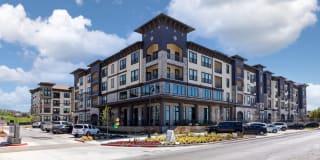 Cavalli at Iron Horse Station Gallery 2