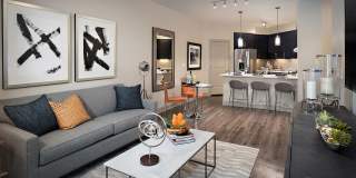 The Core Scottsdale Gallery 20