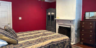 13 Elizabeth St 13 Elizabeth St Gallery 30