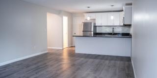 2-Bed Westville Condo w/ In-unit Laundry & Off-street Parking 2-Bed Westville Condo w/ In-unit Laundry & Off-street Parking Gallery 1