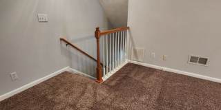 HOLLY CHASE Gallery 14
