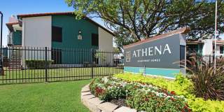 Athena Athena Gallery 8