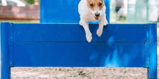 The Villages at Morgan Metro Gallery 70