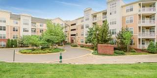 Emerson at Cherry Lane Gallery 16