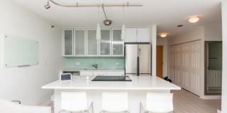 345 N LaSalle Gallery 4