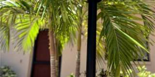 5255 Coronado Parkway Gallery 18