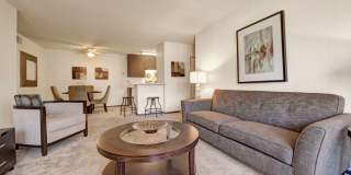 Canyon Ranch Gallery 16