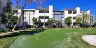 4200 Paradise Gallery 33