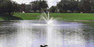 Vista Lake Ned Gallery 26