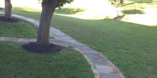 1506 PENNYCRESS Lane Gallery 21