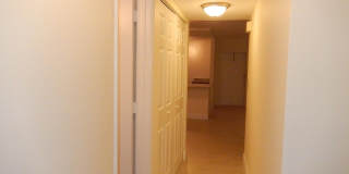 3017 N Oakland Forest Drive Gallery 20