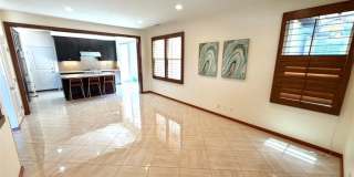 68 Tulip Gallery 2
