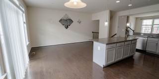 5004 FOREST PINES Drive Gallery 14