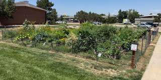ONE BEDROOM IN GUNBARREL- ALL UTILITIES INCLUDED 5120 Williams Fork Trail #103 Gallery 10