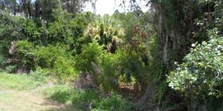 30709 Lanesborough Cir Gallery 26