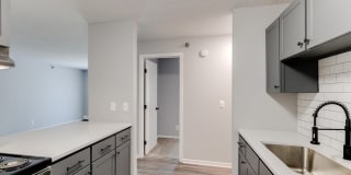 White Pines Gallery 14