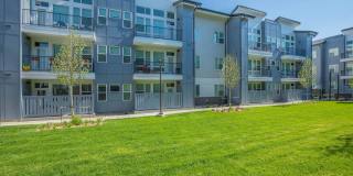 Proximo at Pena Station Gallery 39