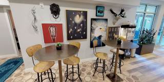 Student Housing - Luxe Belle Gallery 10